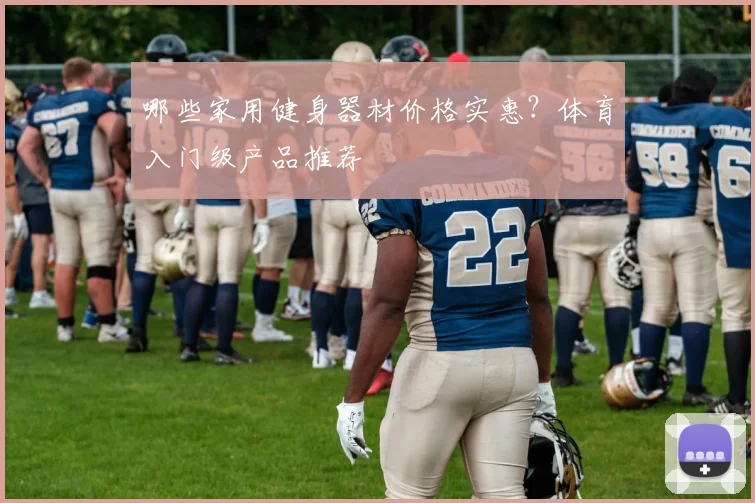 哪些家用健身器材价格实惠？体育入门级产品推荐