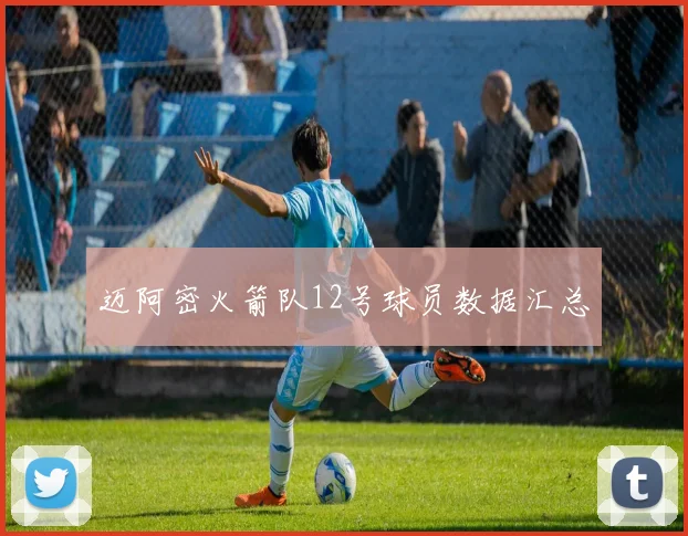 迈阿密火箭队12号球员数据汇总