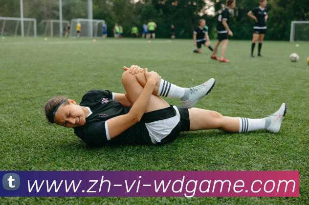 问鼎娱乐发展历程