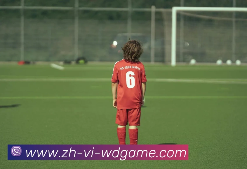 巴西甲级足球积分榜最新排名及球队动态